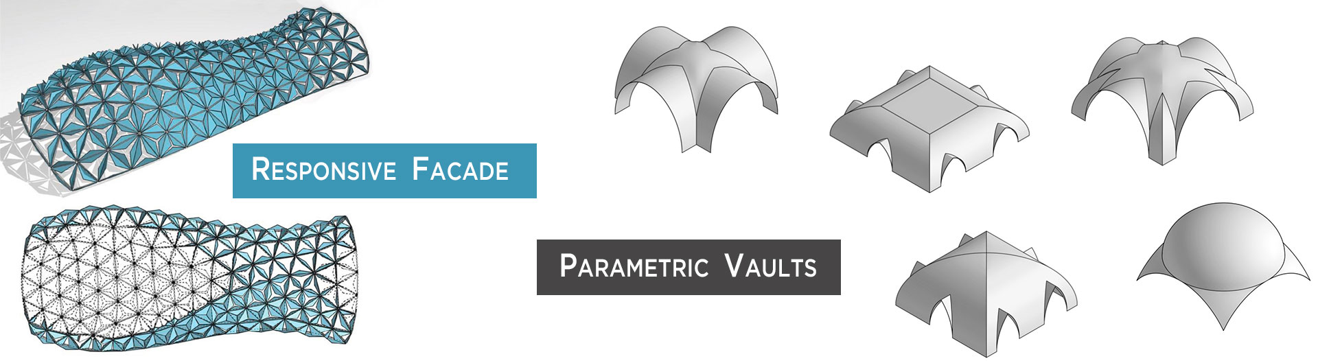 title_696406ab7633613945036841768162987